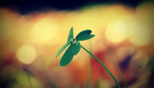 媒体报道形式有哪些方面怎么填，媒体报道的定义