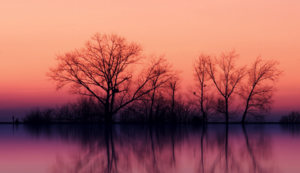 媒体报道形式有哪些方面怎么填，媒体报道的定义