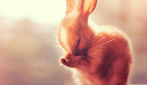 医院动态血糖监测仪收费标准多少钱一台呢，医院动态血糖监测仪收费标准多少钱一台呢