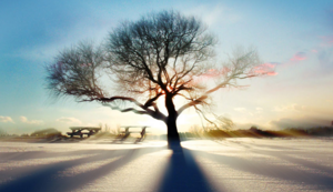 医院概况医院简介怎么写范文模板，医院简介模板ppt