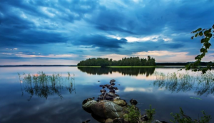 媒体报道形式有哪些方面怎么填，媒体报道的定义